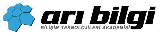Arı Bilgi Bilişim Teknolojileri Akademisi
