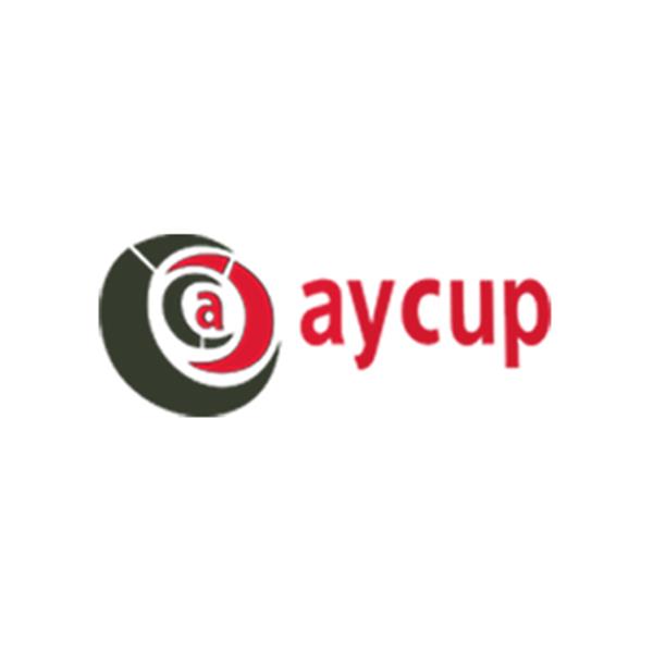 Aycup Karton Bardak