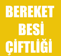 Bereket Çiftliği