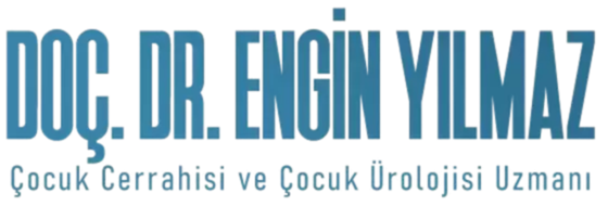 Doç. Dr. Engin Yılmaz