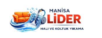Lider Halı & Koltuk Yıkama