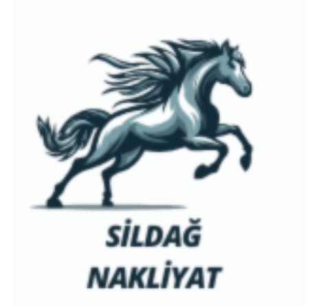 Sildağ evden eve nakliyat