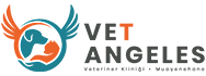 Vet Angeles